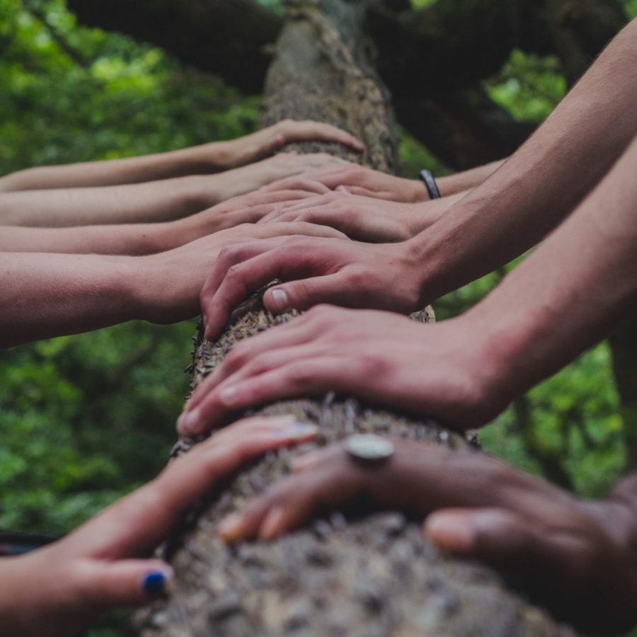 shane-rounce-DNkoNXQti3c-unsplash